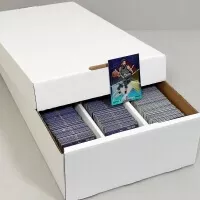 Kartonova krabice na karty BCW na 3000 karet s kartami